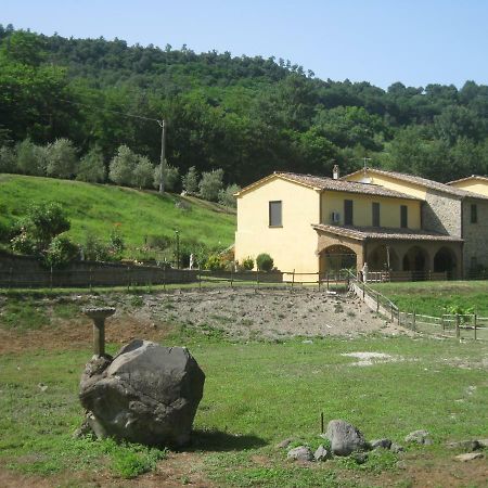 Alloggio Turistico Mooneyes Appartement Castiglione In Teverina Buitenkant foto